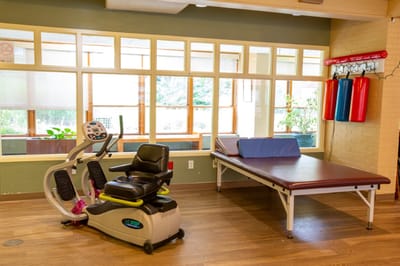Interior view of a physical therapy room with equipment