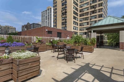 Outdoor garden area with seating and plants