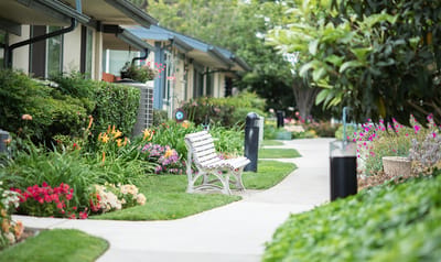 Landscaped pathway with a bench and flower beds