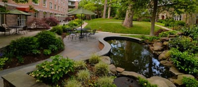 Beautiful garden area with seating and pond
