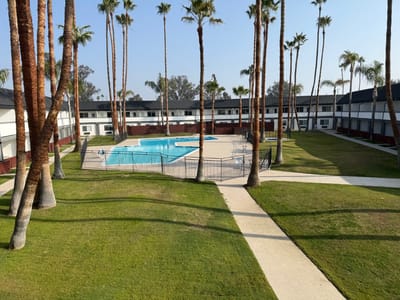 Outdoor pool area surrounded by palm trees