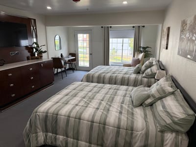 Bright double bedroom with two beds and a view