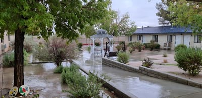Garden area with gazebo and wet pathways