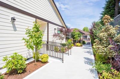 Beautifully landscaped pathway with vibrant plants