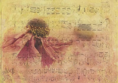 Artistic blend of a flower and sheet music.