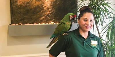 Staff member with a parrot in a common area.