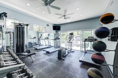 Interior view of a gym with fitness equipment.