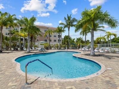 Outdoor pool area surrounded by palm trees