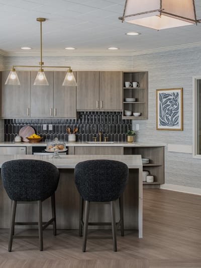 Bright interior kitchen space with stylish decor