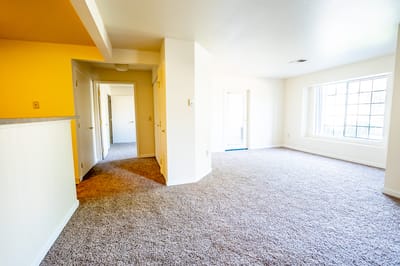 Bright interior space with beige walls and carpet