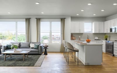 Bright and modern communal kitchen and living area