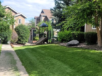 Residents enjoying an outdoor playground area