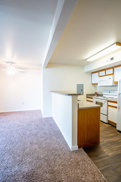 Bright interior view of a resident apartment kitchen and living area