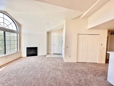 Bright interior of a living room with a fireplace