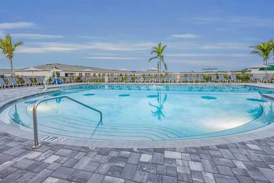 Swimming pool area with lounge chairs and palm trees