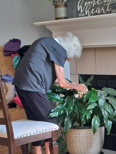 Resident caring for a plant in the common area