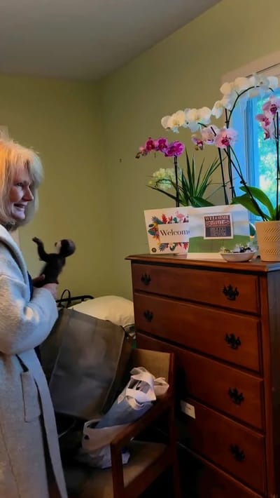 Resident interacting with flowers in a cozy room