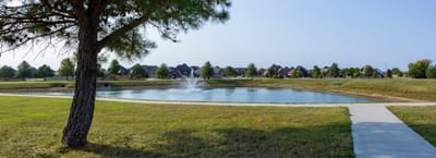 Scenic view of a pond in an outdoor space