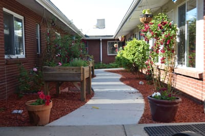 Pathway surrounded by gardens in an outdoor space