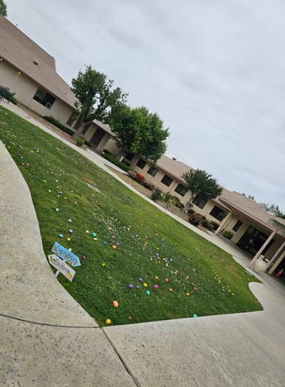 Colorful decorations on a lawn in an outdoor space