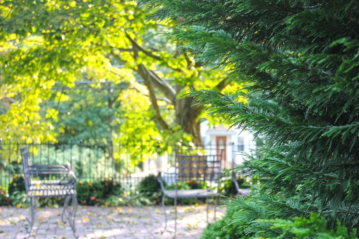 Serene outdoor seating area surrounded by greenery