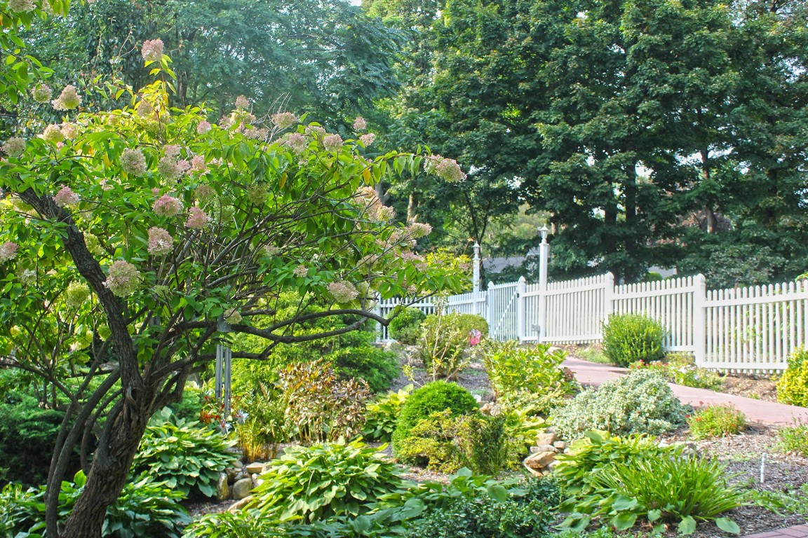 Lush garden pathway with blooming flowers and greenery