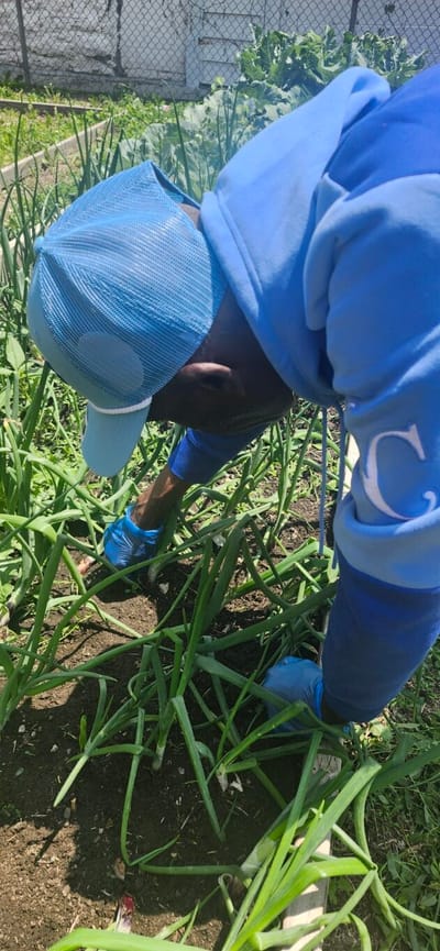 A person gardening in a green space