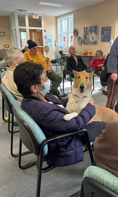 Residents engaging with a therapy dog in a common area