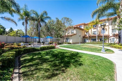 Well-maintained outdoor space with palm trees and seating areas