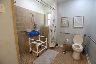Accessible bathroom with shower and grab bars