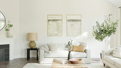 Bright living room with modern decor and plants