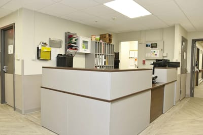 Modern reception area of the nursing home facility