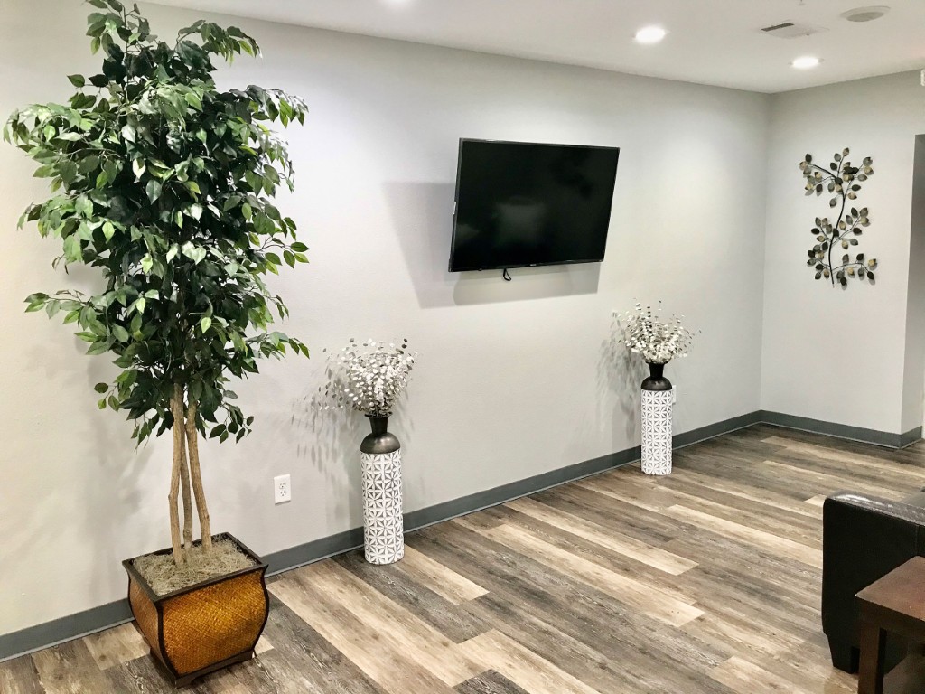 Interior common area with plants and television