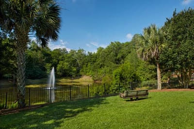 Scenic view of a pond with trees and a fountain