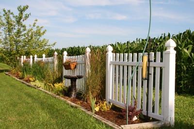A well-maintained garden fence with landscaping