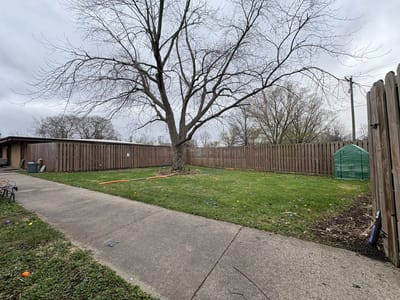 A grassy outdoor area with a tree and fence