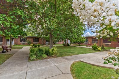 Serene outdoor space with benches and flowering trees