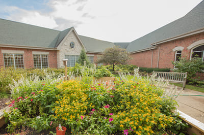 A well-maintained garden with colorful flowers