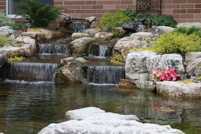 Tranquil outdoor water feature with rocks and flowers