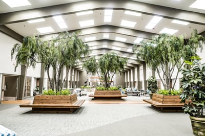 Bright and inviting common area with indoor trees and seating