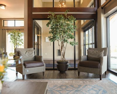 Interior seating area with two chairs and a tree