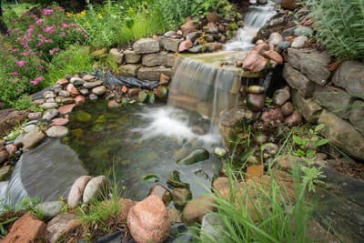 A serene outdoor water feature surrounded by rocks and flowers