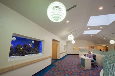Bright reception area with aquarium and seating
