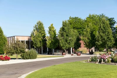 Well-maintained outdoor space with trees and flowers