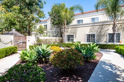 Beautiful garden area with palm trees and foliage