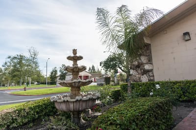 Outdoor fountain surrounded by landscaping