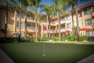 Outdoor putting green surrounded by palm trees