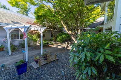 Outdoor garden area with seating and trees.