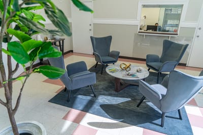 Cozy lounge area with modern chairs and a plant