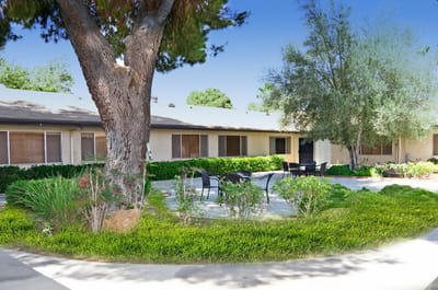 Outdoor seating area with garden and trees